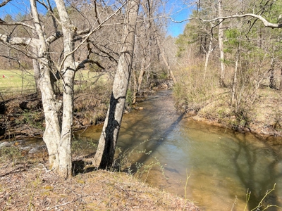 Recreational Land with Creeks for Sale in Woolwine VA! - image 4