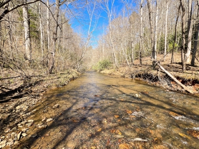 Recreational Land with Creeks for Sale in Woolwine VA! - image 9