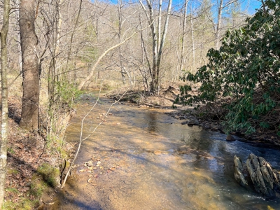 Recreational Land with Creeks for Sale in Woolwine VA! - image 13