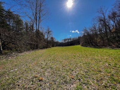 Recreational Land with Creeks for Sale in Woolwine VA! - image 24