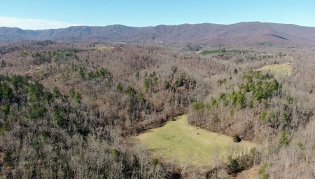 Recreational Land with Creeks for Sale in Woolwine VA! - image 38