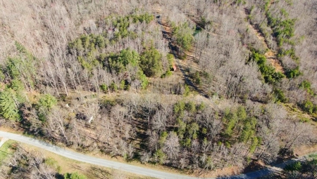 Wooded Land for Sale in Woolwine VA! - image 36