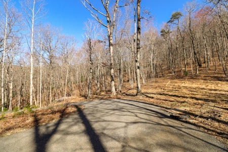Wooded Land for Sale in Woolwine VA! - image 3