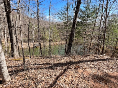 Wooded Land for Sale in Woolwine VA! - image 15