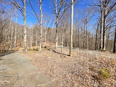 Wooded Land for Sale in Woolwine VA! - image 19