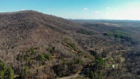 Wooded Land for Sale in Woolwine VA! - image 1