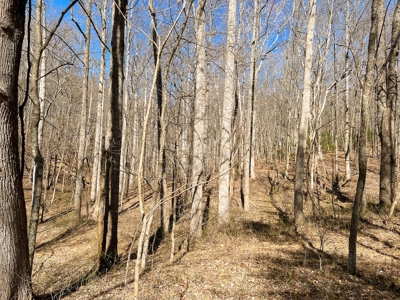 Wooded Land for Sale in Woolwine VA! - image 25