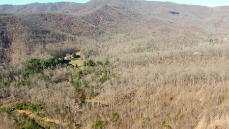 Wooded Land for Sale in Woolwine VA! - image 37