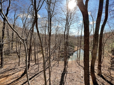 Wooded Land for Sale in Woolwine VA! - image 28