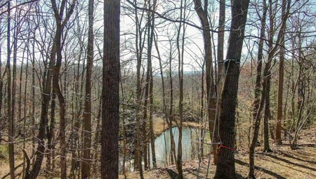 Wooded Land for Sale in Woolwine VA! - image 30