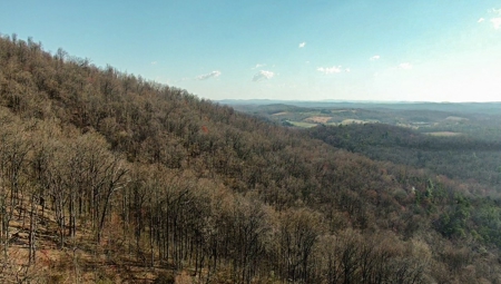Wooded Land for Sale in Woolwine VA! - image 29