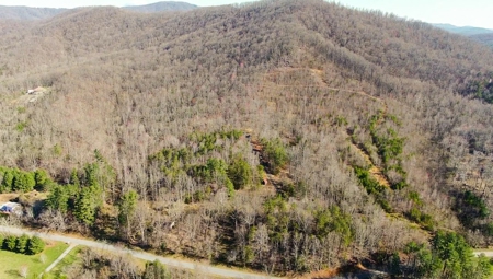 Wooded Land for Sale in Woolwine VA! - image 39