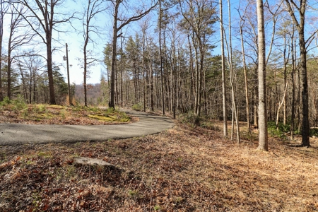 Wooded Land for Sale in Woolwine VA! - image 5