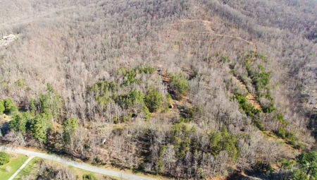 Wooded Land for Sale in Woolwine VA! - image 35