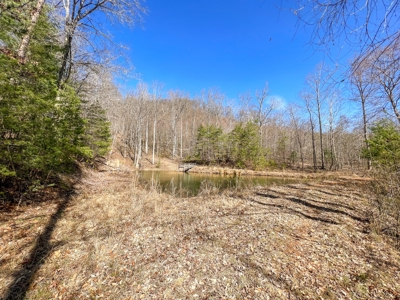 Wooded Land for Sale in Woolwine VA! - image 13