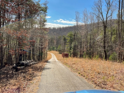 Wooded Land for Sale in Woolwine VA! - image 20