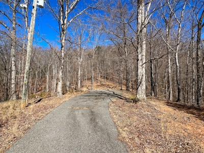 Wooded Land for Sale in Woolwine VA! - image 16