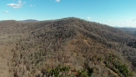 Wooded Land for Sale in Woolwine VA! - image 38