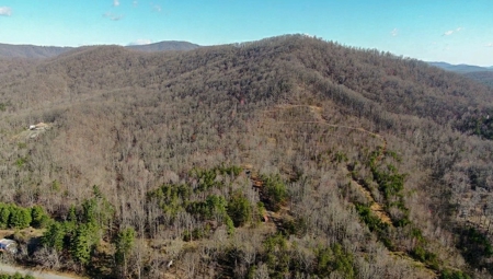 Wooded Land for Sale in Woolwine VA! - image 33