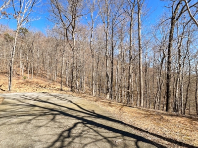 Wooded Land for Sale in Woolwine VA! - image 17
