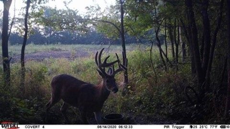 For Sale 140 Acres m/l in Worth County - image 2