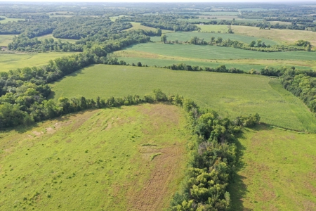 For Sale 140 Acres m/l in Worth County - image 21
