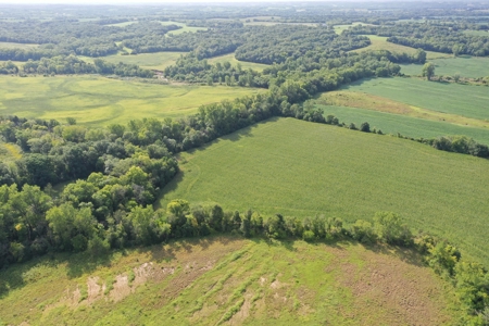 For Sale 140 Acres m/l in Worth County - image 22