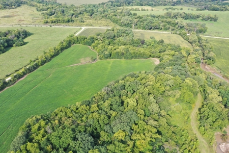 For Sale 140 Acres m/l in Worth County - image 14