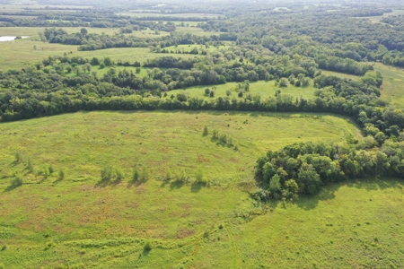 For Sale 140 Acres m/l in Worth County - image 29