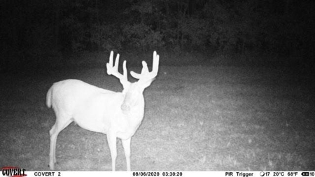 For Sale 140 Acres m/l in Worth County - image 3