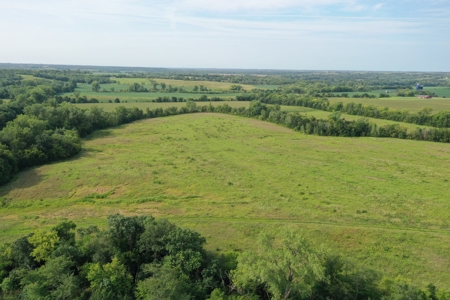 For Sale 140 Acres m/l in Worth County - image 33