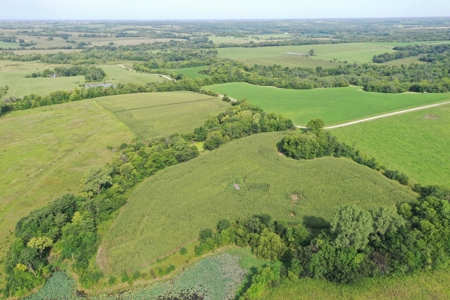 For Sale 140 Acres m/l in Worth County - image 31