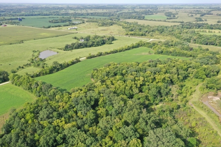 For Sale 140 Acres m/l in Worth County - image 12
