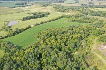 For Sale 140 Acres m/l in Worth County - image 13