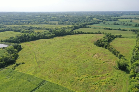 For Sale 140 Acres m/l in Worth County - image 19