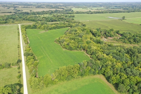 For Sale 140 Acres m/l in Worth County - image 11