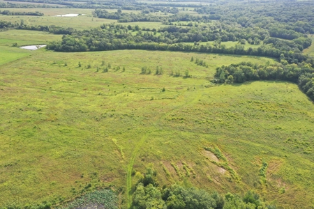 For Sale 140 Acres m/l in Worth County - image 28