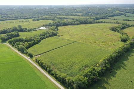 For Sale 140 Acres m/l in Worth County - image 18