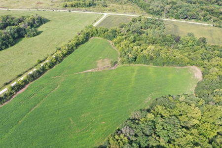 For Sale 140 Acres m/l in Worth County - image 15