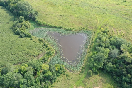 For Sale 140 Acres m/l in Worth County - image 27