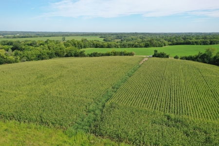 For Sale 140 Acres m/l in Worth County - image 34