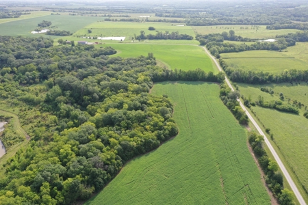 For Sale 140 Acres m/l in Worth County - image 16