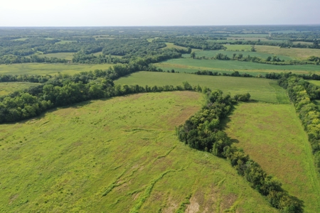 For Sale 140 Acres m/l in Worth County - image 20