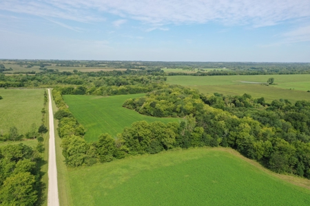 For Sale 140 Acres m/l in Worth County - image 10