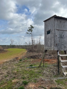 Alabama Blackbelt Hunting Land - image 20