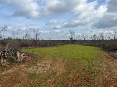 Alabama Blackbelt Hunting Land - image 21