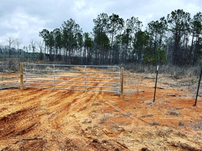 Alabama Blackbelt Hunting Land - image 6