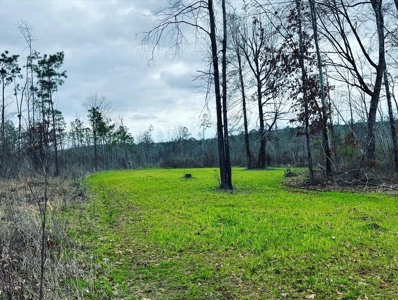 Alabama Blackbelt Hunting Land - image 1