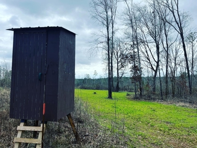 Alabama Blackbelt Hunting Land - image 5