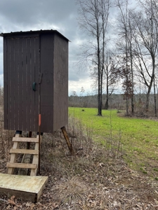 Alabama Blackbelt Hunting Land - image 15